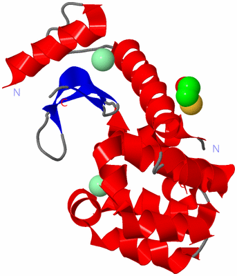 Image Asym./Biol. Unit