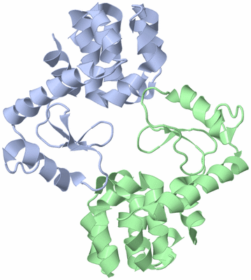 Image Asymmetric Unit