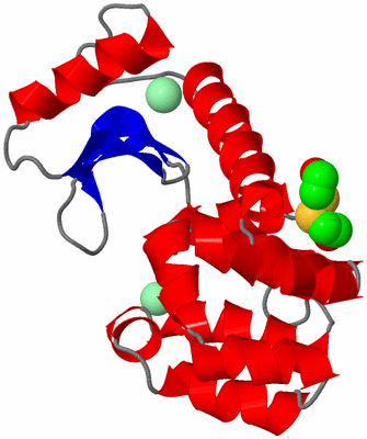 Image Asym./Biol. Unit