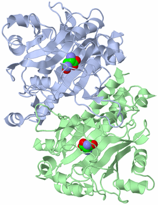 Image Asym./Biol. Unit