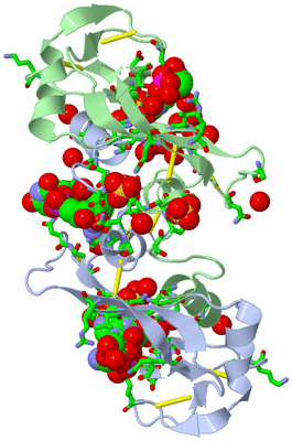 Image Biol. Unit 1 - sites