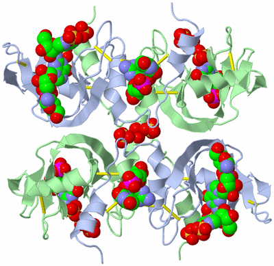 Image Biological Unit 2