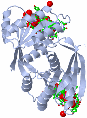 Image Biol. Unit 1 - sites