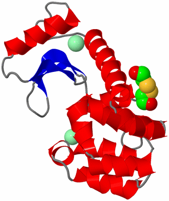 Image Asym./Biol. Unit