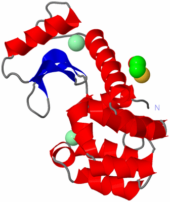 Image Asym./Biol. Unit