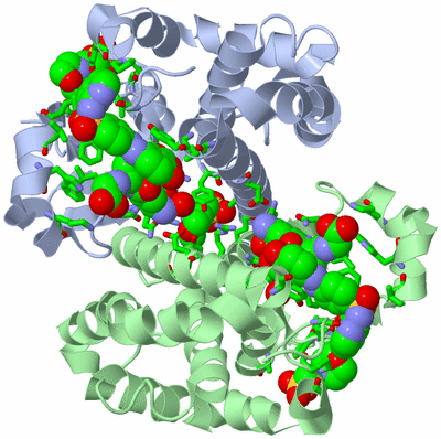 Image Asym./Biol. Unit - sites