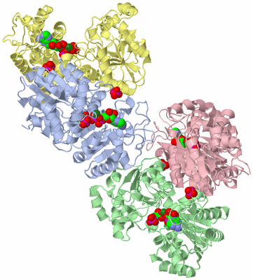 Image Asymmetric Unit