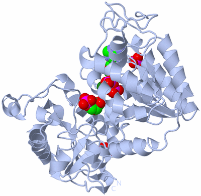 Image Biological Unit 1