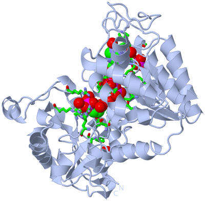 Image Biol. Unit 1 - sites