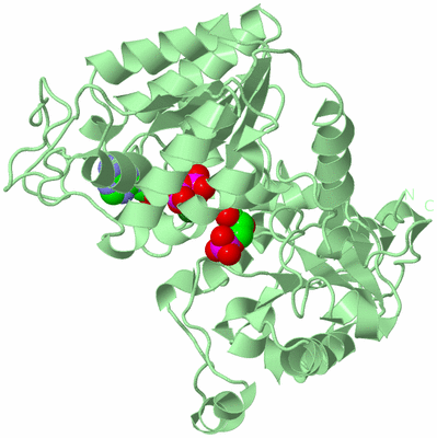 Image Biological Unit 2