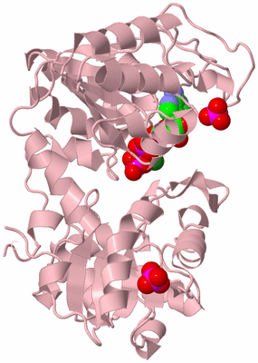 Image Biological Unit 3
