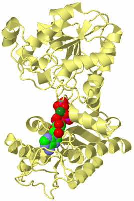 Image Biological Unit 4