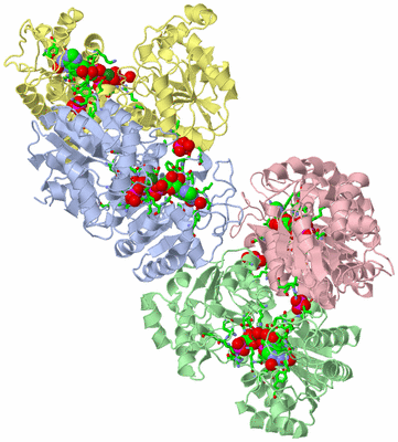 Image Asym. Unit - sites
