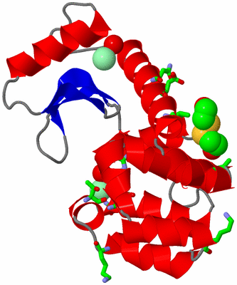 Image Asym./Biol. Unit - sites