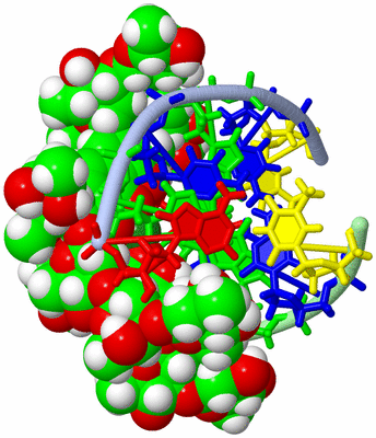 Image NMR Structure - model 1