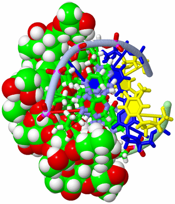 Image NMR Structure - model 1, sites