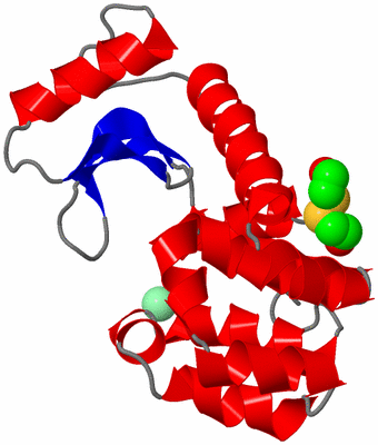 Image Asym./Biol. Unit