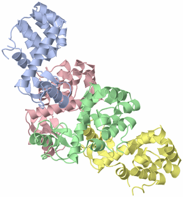 Image Asymmetric Unit