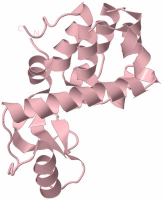 Image Biological Unit 3
