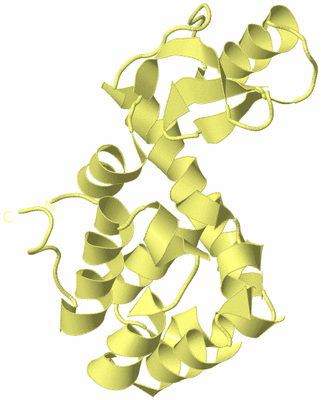 Image Biological Unit 4