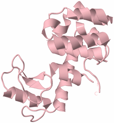 Image Biological Unit 3