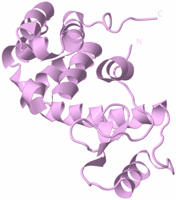 Image Biological Unit 5