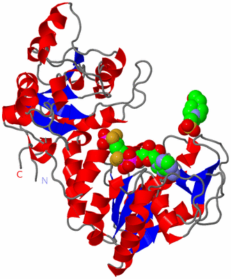 Image Asym./Biol. Unit