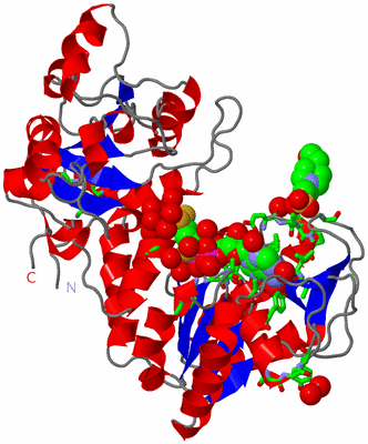 Image Asym./Biol. Unit - sites
