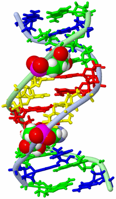 Image NMR Structure - model 1