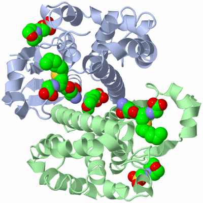 Image Asym./Biol. Unit