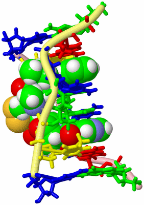 Image NMR Structure - model 1