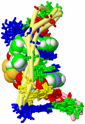 Image NMR Structure - all models