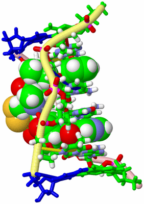 Image NMR Structure - model 1, sites