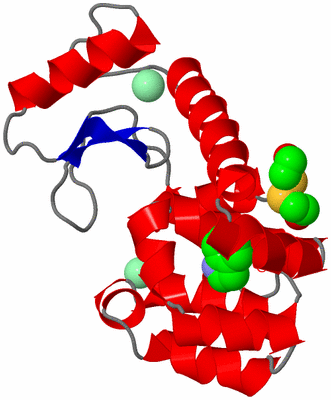 Image Asym./Biol. Unit