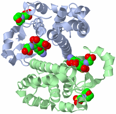 Image Asym./Biol. Unit