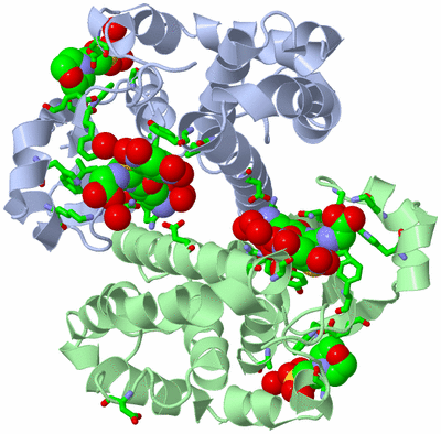 Image Asym./Biol. Unit - sites