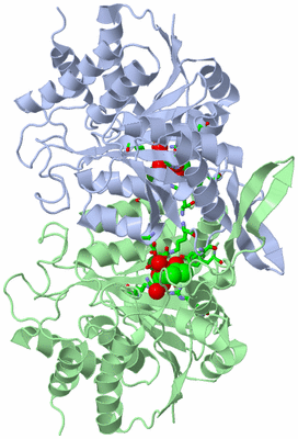 Image Asym./Biol. Unit - sites