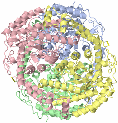 Image Asym./Biol. Unit