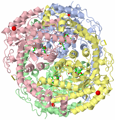 Image Asym./Biol. Unit - sites