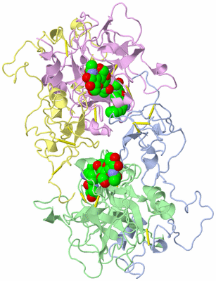 Image Asym./Biol. Unit