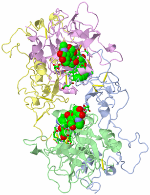 Image Asym./Biol. Unit - sites