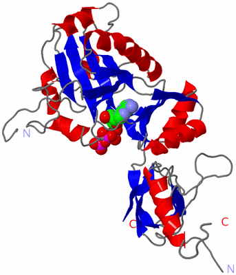 Image Asym./Biol. Unit