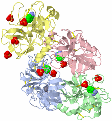 Image Asymmetric Unit