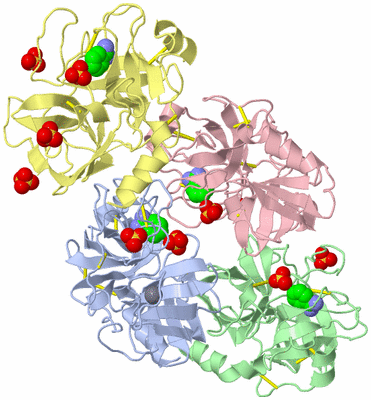 Image Biological Unit 1