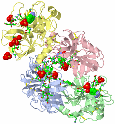 Image Biol. Unit 1 - sites
