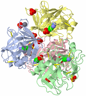 Image Biological Unit 2