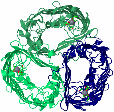 Image Asym./Biol. Unit - sites