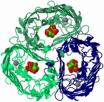 Image Asym./Biol. Unit