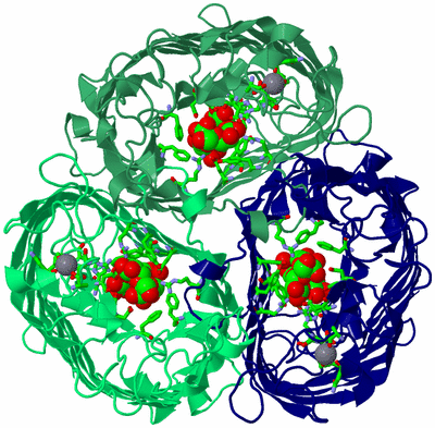 Image Asym./Biol. Unit - sites