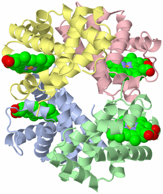 Image Asym./Biol. Unit